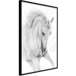 Arkiio Affisch White Horse [Poster] 30x45 Poster